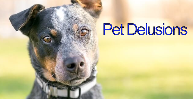 Pet Delusions Logo